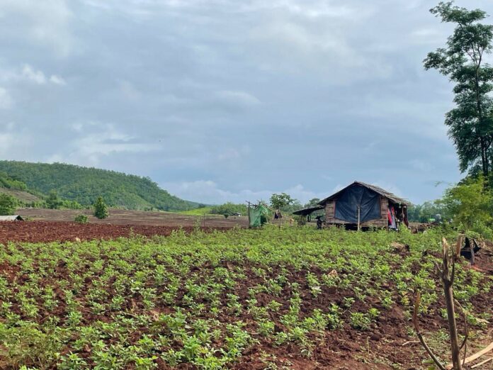 signal-2025-06-24-103848_004