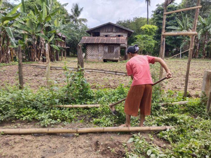 signal-2025-07-21-115756_002