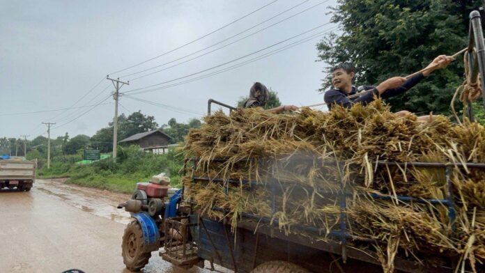 signal-2025-07-31-124519_002