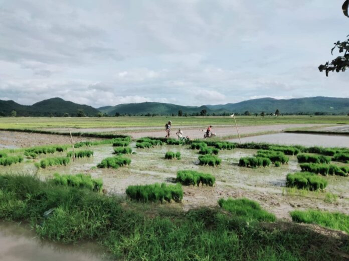 signal-21025-07-08-120825_002