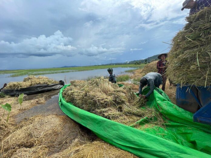 556834176_1249178703915366_9084912463557629854_n