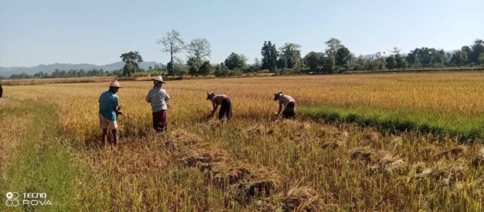 signal-2025-12-04-142500_002-1536x674