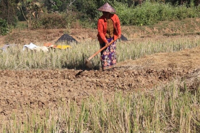 signal-2025-12-08-120245_004