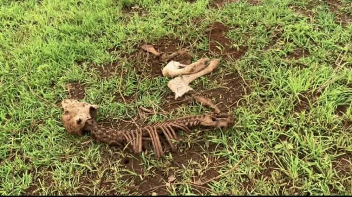 signal-2025-12-09-121923_003