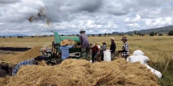 signal-2025-12-26-140744_002