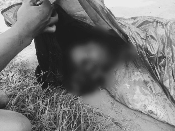 signal-2026-01-19-133538_002