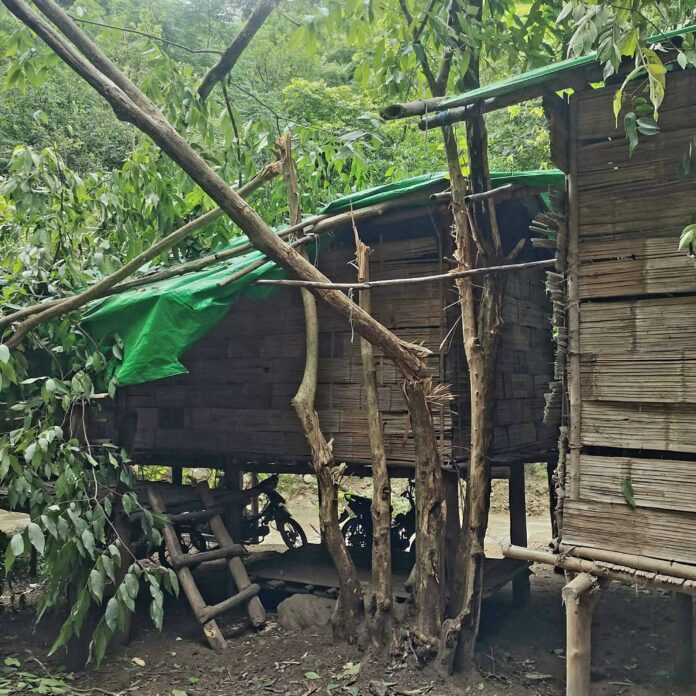 signal-2026-02-16-103216_002